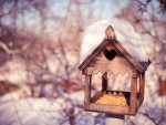 Bird House