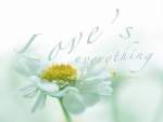 Love's everything