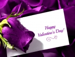 Happy Valentine\'s Day