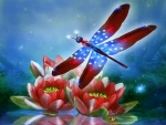 âœ«Brilliant Dragonfly on Valentinesâœ«