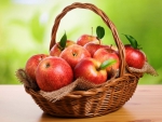 Basket of Apples