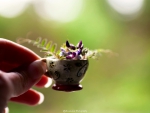 Small Cup Of Flowers