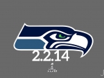 Seattle Seahawks Super Bowl 2014