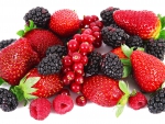 ~ delicious berries ~