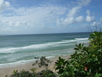 Noosa Beach Nationalpark