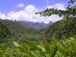 Landscape on Tahiti 