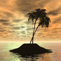 LONELY PALM TREE