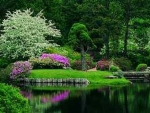 Azalea garden