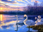 Swan Lake