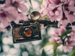 Vintage Camera