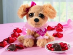 â™¥â™¥Valentine Puppyâ™¥â™¥