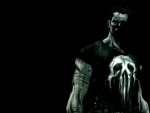 THE PUNISHER