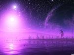 Purple univers
