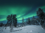 northern lights above a winter scene