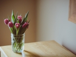 Vase Of Tulips