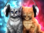 Cats listening music