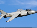 sea harrier
