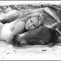 Love of horses