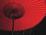 Red Parasol on a Rainy Night