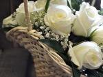 Beautiful basket of white roses