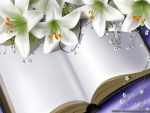 LILIES OF THE BOOK