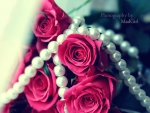 Pearls of roses
