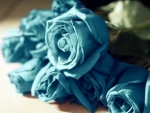 Blue Roses