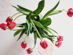 Vase of tulips seen from above