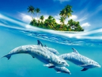 Dolphins for Cristina (cristall)