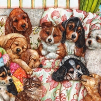 Before afternoon nap