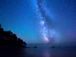 Milky Way and Stardust Beach