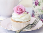 Sweet Cupcake