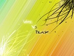 White vs Black