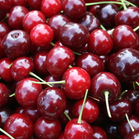 cherries