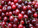 cherries