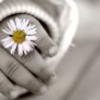 he loves me - loves me not 