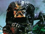Predator