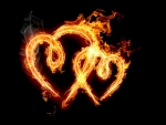 Hot, Burning Love!