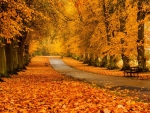 Autumn Bench Scene!