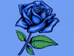 blue rose