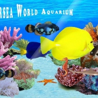 Undersea World Aquarium