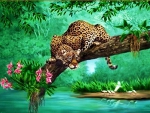 Resting Leopard