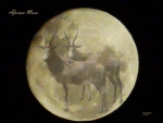 African Moon