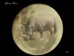 African Moon