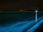 bioluminescent lake australia