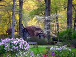 Fairy's Cottage