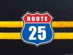 Steaua Bucuresti Route 25
