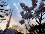 Tokyo Tower
