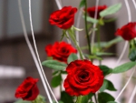 RED ROSES