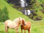 Horses Near Waterfalls